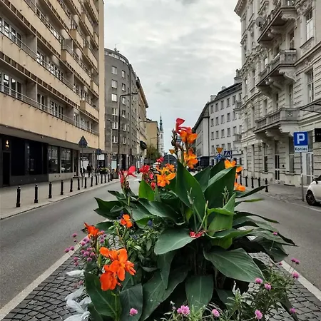 Day & Night By Cooee