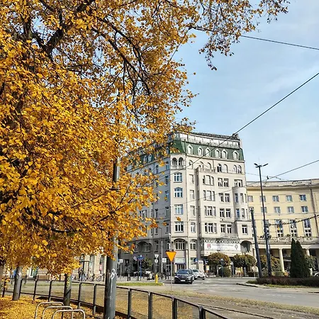 Day & Night By Cooee *