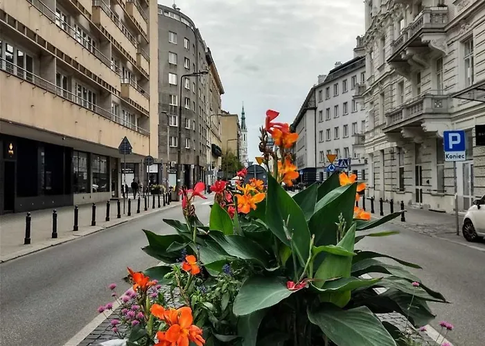 Day & Night By Cooee