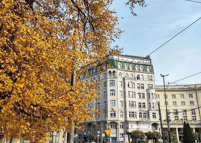 Day & Night By Cooee *